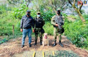 Incautan material explosivo en zona del jarillón del río Cauca