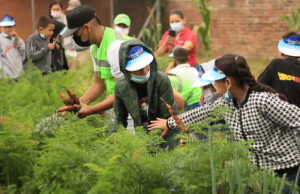 En institución educativa de San Pedro, los ‘Ecopanitas’ cosecharon los primeros 107 kilos de alimentos