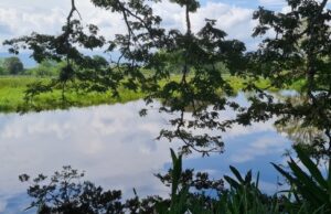Inciva realizará actividades de conservación y protección de humedales en 13 municipios