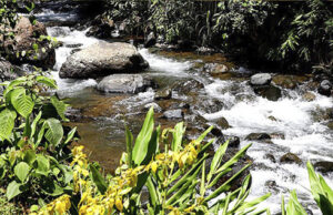 DAGMA y CVC se articulan para la protección de los ríos de Cali
