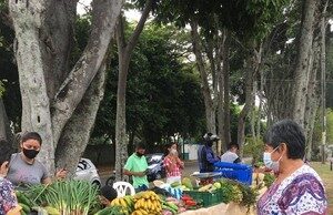Este sábado hay mercados campesinos en Cali y sus corregimientos