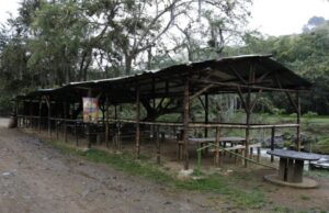 Se recupera espacio público en la cuenca del río Cali