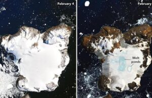 Cambio climático, crónica de una muerte anunciada – Por: Eberson Argüello