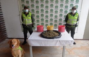 Toro, El Perro Que Descubre Narco Encomiendas
