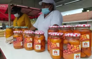 El Valle apoyará la organización de la cadena productiva del chontaduro del suroccidente del país