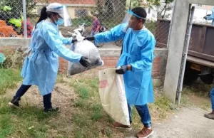 Cuatro toneladas de envases agroquímicos han sido recuperadas por la UESVALLE en cinco municipios