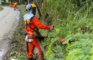 En dos meses 302 kilómetros de vías han sido intervenidos con el Plan Camineros