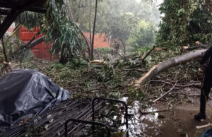 Cierran Ecoparque Pisamos por caída de arbóles
