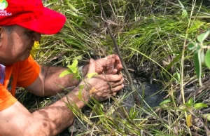El Valle del Cauca le apuesta a ser el departamento líder en el Plan Nacional de Reforestación