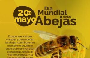 HOY DIA MUNDIAL DE LAS ABEJAS