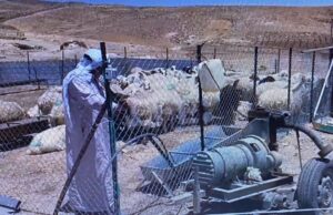 Unos 1.200 palestinos bajo amenaza de expulsión tras histórico fallo Israelí