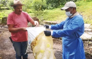 Con 53 toneladas de envases de plaguicidas recolectados, el Valle se destaca como modelo de trabajo por el ambiente