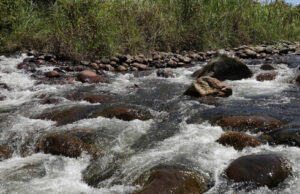 El río Pance y su parque ambiental, grandes aportantes hídricos