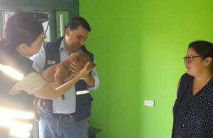 Sisbén Animal llega a los hogares caleños