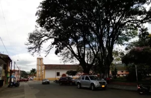 Gobierno del Valle rechaza agresiones a agentes de movilidad en Riofrío