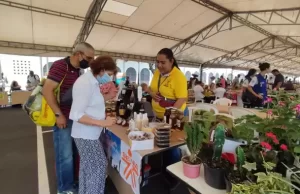 Frutas y verduras frescas de la montaña al Gran Mercado Campesino del Valle