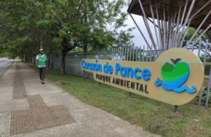 Riqueza forestal del Parque Ambiental Corazón de Pance