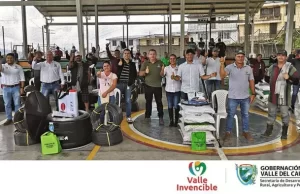 44 familias campesinas de El Águila mejoran su calidad de vida con insumos de Valle Agro