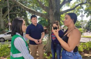 Por principio de solidaridad social, las colonias de gatos en situación de calle deben ser respetadas