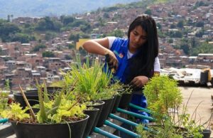 Comedores comunitarios se fortalecen con la instalación de huertas urbanas