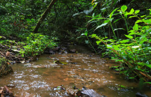 Acciones contra el cambio climático y la protección de las cuencas