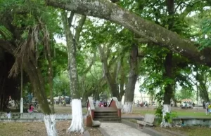 En el Parque La Isleta se transformará 5.000 metros cuadrados para el disfrute y el turismo en Cartago