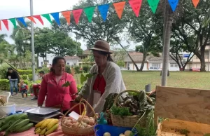 Con hortalizas, frutas y proteínas producidas por agricultores de 11 municipios se inició en Buga la Ruta del Gran Mercado Campesino