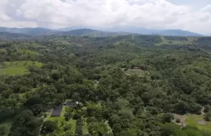 Más de 400 especies de plantas y 35 de murciélagos, entre hallazgos de investigación del Inciva en el bosque seco tropical