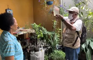Así se controla al zancudo transmisor del dengue en el Valle