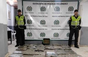Autoridades incautaron más de 53 mil gramos de marihuana en el sector de Los Chorros