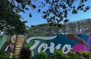 Habitantes y visitantes de Toro, ‘encantados’ con la renovación de fachadas