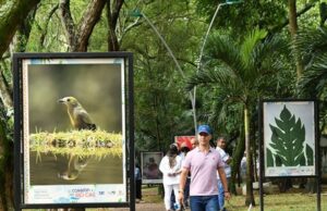 Las gatas de Tejada estrenan exposición fotográfica