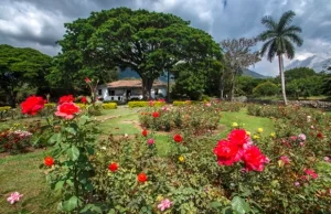 La Gobernación invita a los vallecaucanos a que visiten la Hacienda El Paraíso, destino del amor