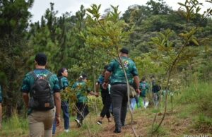 Continúa la conformación del Bosque de los Estudiantes