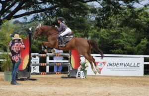 Liga de Ecuestre del Valle, inició calendario con el Concurso Nacional de Saltos patrocinado por Indervalle