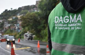 Autoridades ambientales hacen equipo para proteger el gran Bosque Pacífico