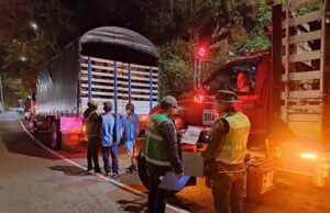 Operativos de control al tráfico de flora silvestre continúan dando resultados