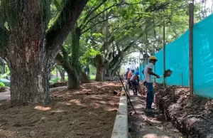 El Parque Biotemático del Dulce se alista para ser una parada turística imperdible en Zarzal