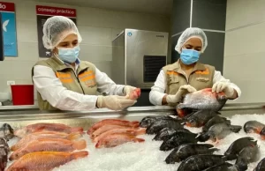 Unidad Ejecutora de Saneamiento adelanta operativos de control a expendio de alimentos de mar en Florida