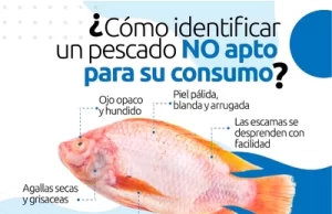 ¡Ojo con la alimentación! Recomendaciones de salud para evitar intoxicaciones en Semana Santa