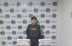 La Seccional de Tránsito y Transporte incautó Marihuana transportada como encomienda sobre las principales vías del Departamento de Policía Valle.