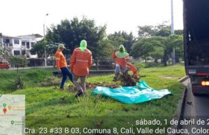 Jornadas para una ‘Cali divina’ en la semana mayor