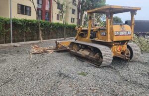 Dagma detecta reincidencia en transgresión ambiental