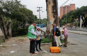 Grave agresión a ceiba notable en la calle quinta