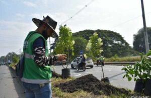 Caleños y caleñas engalanaron la entrada sur de la ciudad
