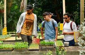 Gestores se capacitan en la creación de huertas urbanas que integrarán los comedores comunitarios de Cali