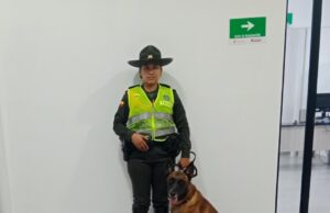 ‘Nando’ el policía de 4 patas, incautó 27.000 gramos de marihuana