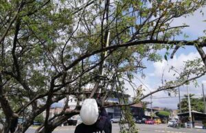 236 intervenciones se realizaron en el barrio Sindical: Dagma al Barrio