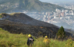 “Todos estos incendios son provocados en forma dolosa”: Rodrigo Zamorano