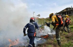Alcaldía ofrece hasta $5 millones para capturar a responsables de incendios en áreas protegidas y en bienes públicos o privados